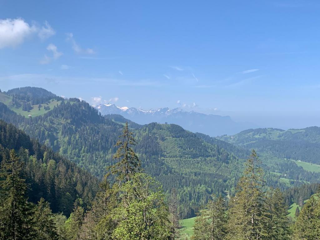 Boutique Hotel Corbetta - Spa 60M2 - La Montagne A 5 Minutes De L'Autoroute A12 Aux Paccots Sur Montreux - Nouveau Loft Familial - Profitez Du Lac Leman Et Des Montagnes En Meme Temps Les Paccots ภายนอก รูปภาพ