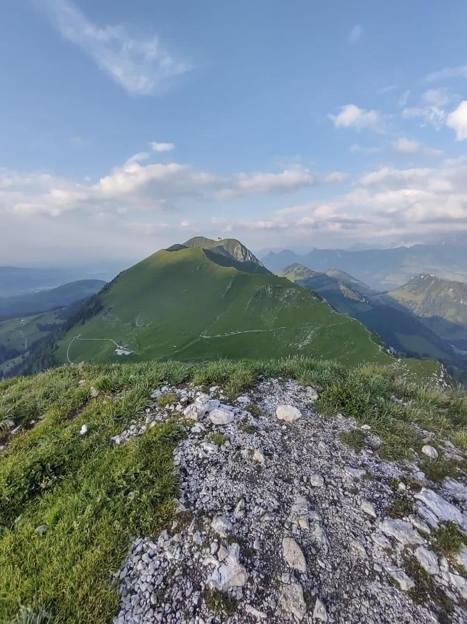 Boutique Hotel Corbetta - Spa 60M2 - La Montagne A 5 Minutes De L'Autoroute A12 Aux Paccots Sur Montreux - Nouveau Loft Familial - Profitez Du Lac Leman Et Des Montagnes En Meme Temps Les Paccots ภายนอก รูปภาพ
